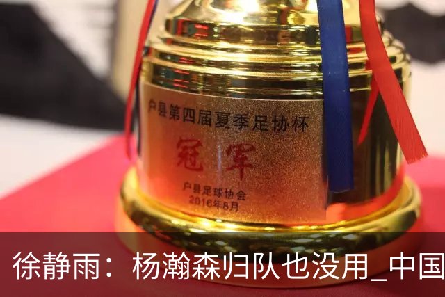 徐静雨：杨瀚森归队也没用 中国男篮跟日本已完全不是一个等级